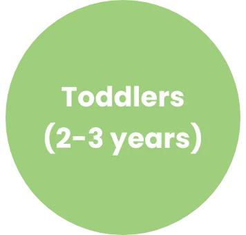 Toddlers Toddlers (2-3 years)